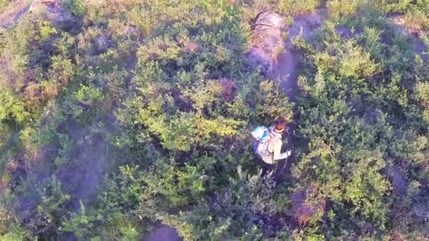 Homme randonneur touristique marchant avec des bâtons sur le sentier. Aérien — Video