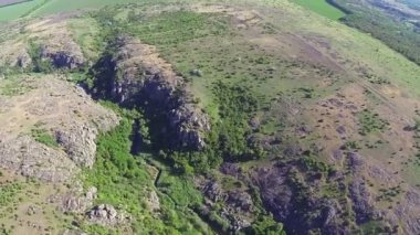 ağaçlar ile güzel Kanyon üzerinden uçmak nehir. Hava Üstten Görünüm