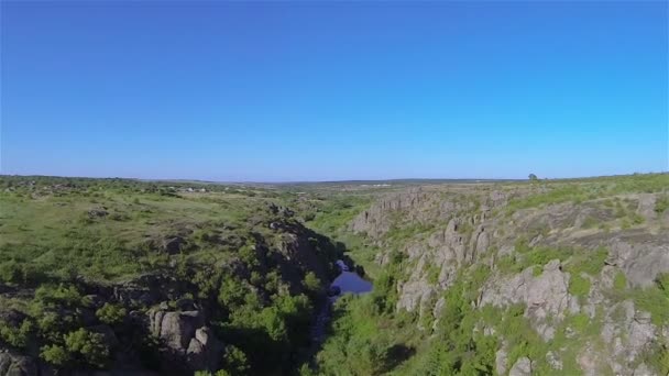 Каньйон пейзаж з деревами, річка в літній день. Повітряні — стокове відео