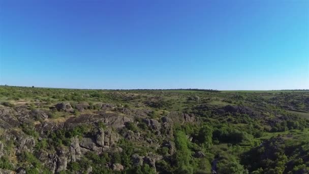 Schluchtenlandschaft mit Bäumen, Fluss mit Kurve. Antenne — Stockvideo