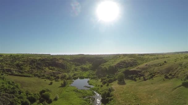 木の日当たりの良い峡谷の風景川。空中 — ストック動画