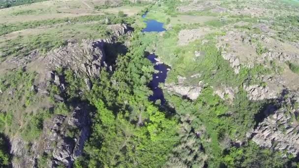 Fly over canyon  with trees , river. Aerial  top view — Stock Video