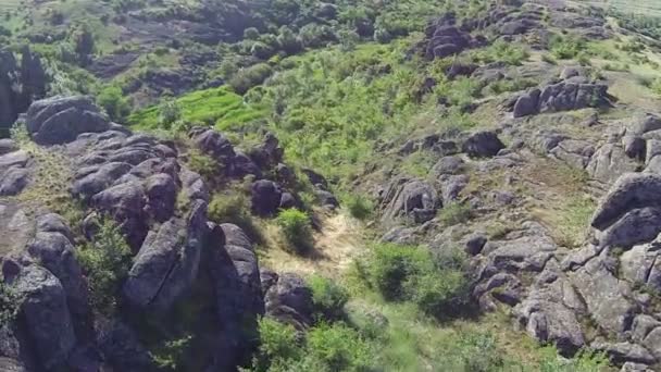 Fliegen in einer Schlucht mit Bäumen, Fluss und Felsen. Antenne in niedriger Höhe — Stockvideo