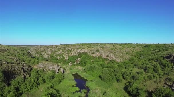 Mucha w kanion z drzewami, z rzeką i skały. antenowe niskiej wysokości — Wideo stockowe