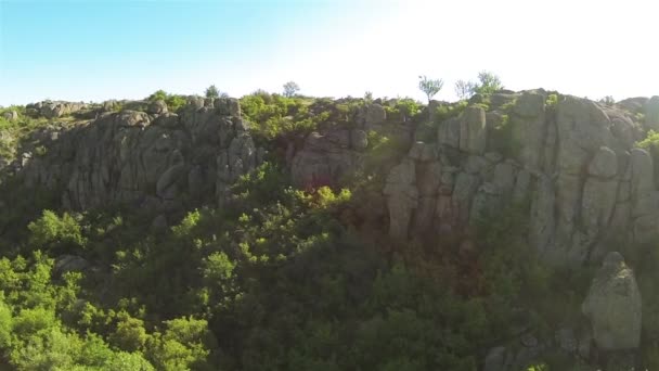 Fly inside  canyon  with trees , river and rocks. Aerial  low height — Stock Video
