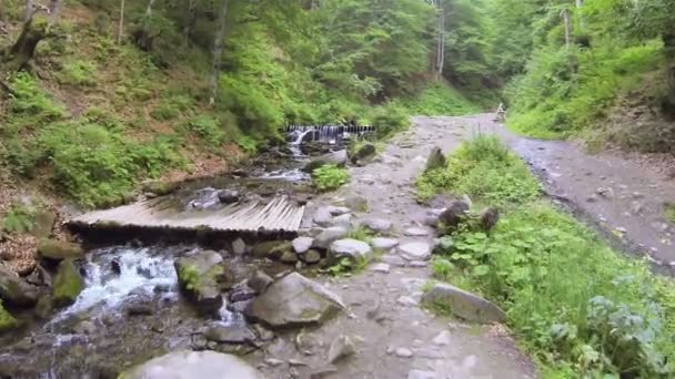 Sopra il torrente di montagna a bassa altezza. Colpo aereo — Video Stock