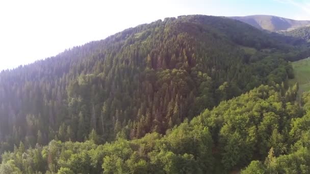 Boven hout in bergen. Luchtfoto — Stockvideo