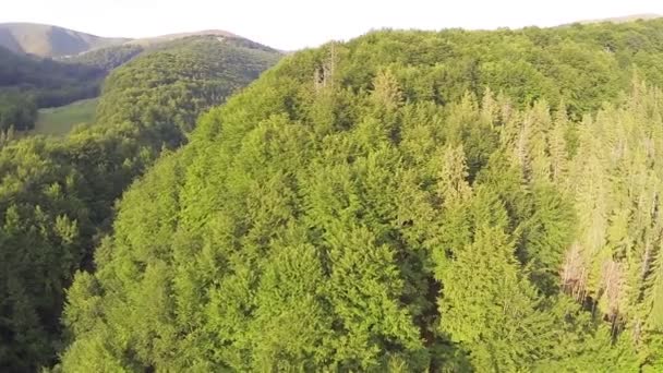 Boven hout in bergen. Luchtfoto — Stockvideo