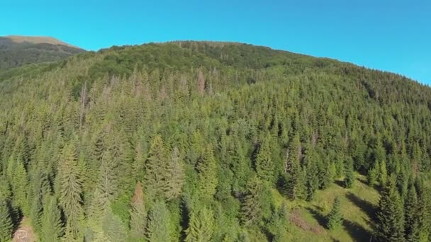 Over wood in mountains . Aerial panorama — Stock Video