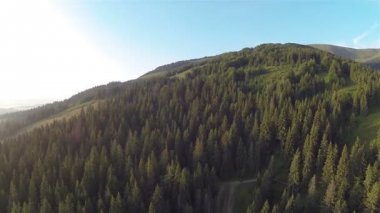 Sabah uçuş ahşap dağlar kırsal alanda üzerinde. Hava