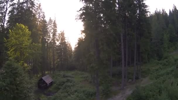 Penerbangan pagi di atas kayu di pegunungan waktu pagi .Aerial — Stok Video