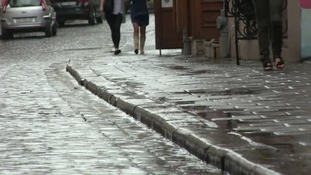 La gente de la calle de la ciudad en días lluviosos. Ciudad de Lviv en Ucrania. Disparo PAL — Vídeo de stock