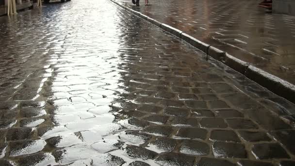 Camino de bloques de piedra y el pie de la gente. Ciudad de Lviv en Ucrania. Disparo PAL — Vídeos de Stock