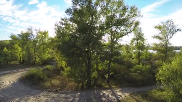 Sur la belle côte de la rivière dans les rayons du soleil du soir à travers les feuilles des arbres / Aérien — Video