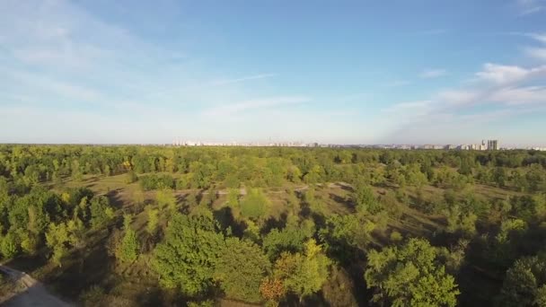 Політ над дрібною деревиною з будівлями на горизонті. Повітряний пейзаж . — стокове відео