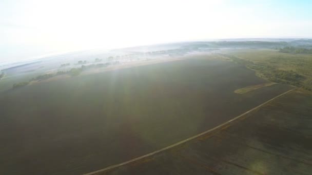 POV vlucht als ogen van vogels over veld met zonlicht. Luchtfoto — Stockvideo