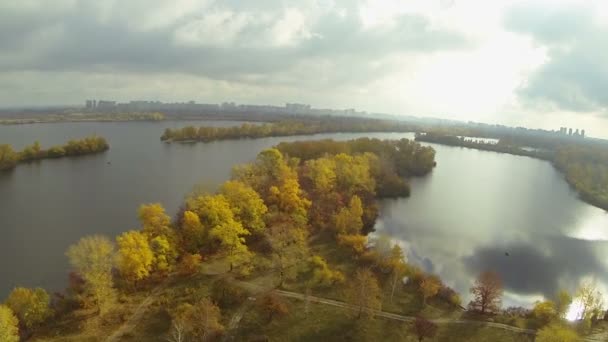 노란 나무와 호수 필드 48 초 비행. 공중 흐린가 시간 — 비디오