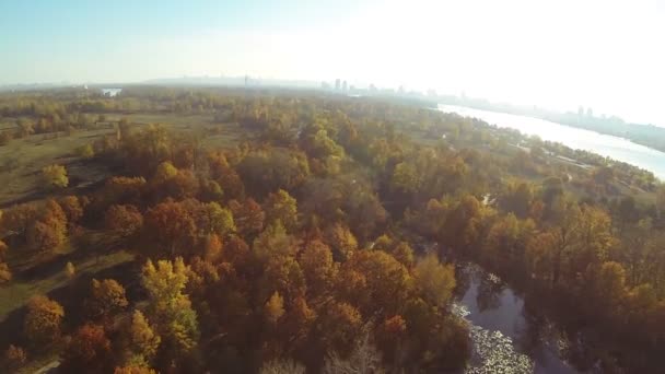 Vuelo POV sobre la costa amarilla del río. Disparo aéreo como la vista de las aves, tiempo de otoño . — Vídeos de Stock