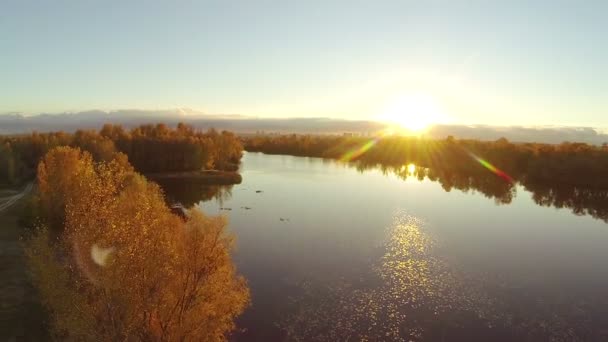 Herbst in Gelb. oben über gelben Baum und Fluss mit Sonnenstrahlen. Antenne — Stockvideo
