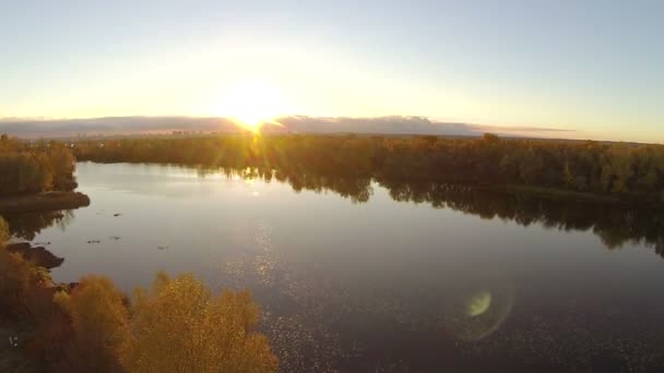 Autumn   in yellow . Down  of yellow tree and river with sunbeams. Aerial — Stock Video