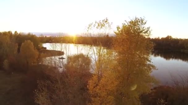 Herbst in Gelb. oben von gelben Bäumen und Fluss mit Sonnenstrahlen. Antenne — Stockvideo