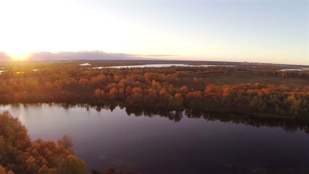 Automne en jaune. Panorama d'arbres jaunes et rivière avec des rayons de soleil. Aérien — Video