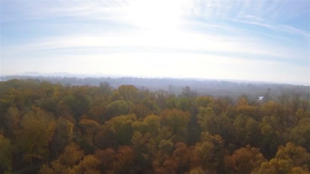 De manhã cedo voar como pássaro sobre árvores de outono em baixa altura — Vídeo de Stock