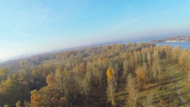 La madrugada vuela como un pájaro sobre el río otoño con barcaza — Vídeo de stock