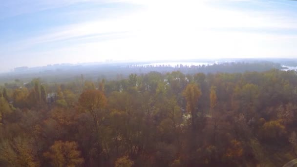 像只鸟在秋天的树木和河流在低高度的清晨飞。空中 — 图库视频影像