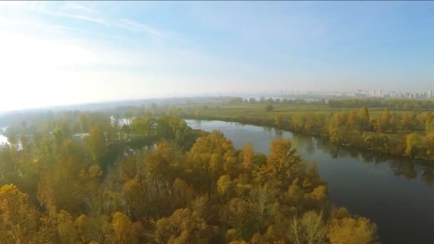 Early morning   fly like bird  over autumn   trees  and river at low height. Aerial — Stock Video