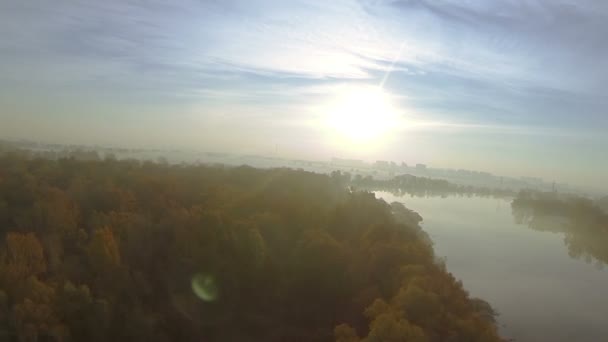 Το πρωί πετούν σαν πουλί πάνω από φθινόπωρο ακτές ομίχλη ποτάμι σε χαμηλό ύψος. Αεροφωτογραφία — Αρχείο Βίντεο