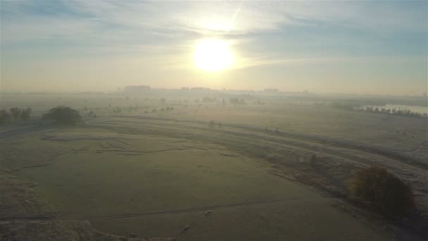 Morgenflug wie ein Vogel über herbstnebelverhangenem Feld in niedriger Höhe. Luftbild — Stockvideo