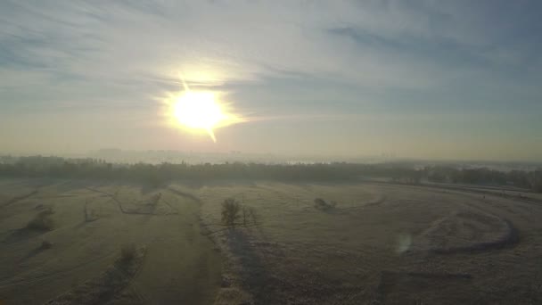 La mañana vuela como un pájaro sobre el campo de niebla de otoño a baja altura. Vista aérea — Vídeo de stock