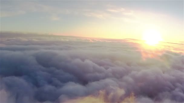 Flug über Feld, See, Fluss an einem neblig bewölkten Herbsttag. Antenne — Stockvideo