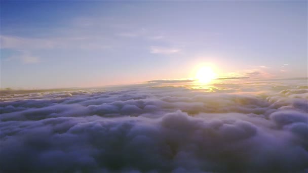 Flyg över fältet, sjö, flod i dimmigt molnigt höstdag. Antenn — Stockvideo