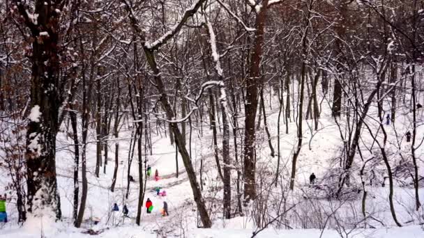 Oamenii se plimbă pe un deal de zăpadă. Copii călărind pe tobogan pe o sanie de plastic în ziua înzăpezită de iarnă. O copilărie fericită. Ninge afară. Vacanță distracție — Videoclip de stoc
