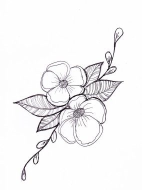 Bir gül çiçeği eskizi. Elle botanik çizimi. Bir buket çiçek. Tomurcuk, yapraklar. Boyama. Yay şekli. Çiçek açan bir bitkinin çizimi