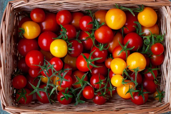 Czerwone Żółte Pomidory Wiśniowe Kosz Widok Góry Zbieraj Warzywa Pomidor — Zdjęcie stockowe