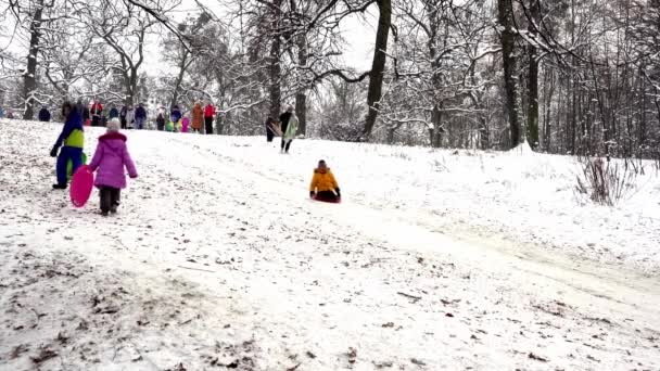 Ukraina, Kijów - 15 stycznia 2021: Ludzie zjeżdżający na śnieżnym wzgórzu. Dzieci zjeżdżające ze zjeżdżalni na plastikowych saniach w zimowy śnieżny dzień. Szczęśliwego dzieciństwa. Na zewnątrz pada śnieg. Zabawa wakacyjna — Wideo stockowe