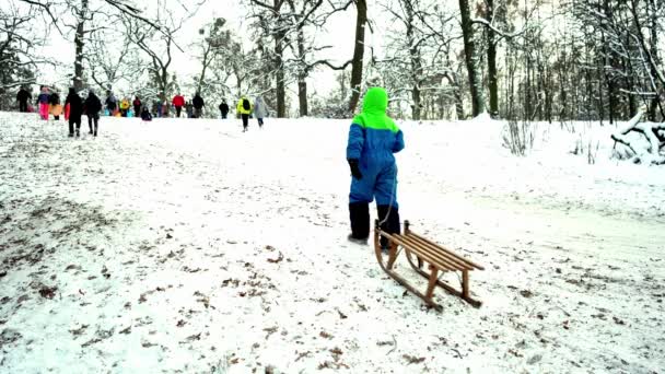 Ucraina, Kiev - 15 gennaio 2021: La gente va in slitta su una collina innevata. Bambini che cavalcano lo scivolo su una slitta di plastica in inverno giorno nevoso. Buona infanzia. Fuori nevica. Divertimento vacanza — Video Stock