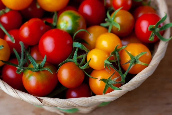 Czerwone Żółte Pomidory Wiśniowe Widok Góry Zbieraj Warzywa Pomidor Stole — Zdjęcie stockowe