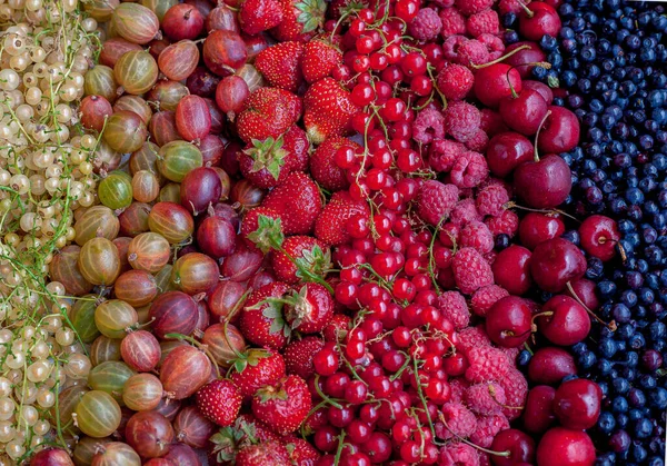 Fundo Verão Bagas Frutos Groselhas Brancas Vermelhas Morangos Cerejas Mirtilos — Fotografia de Stock