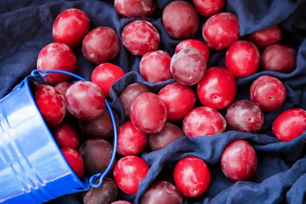 Prune Rouge Sur Nappe Bleue Prunes Vue Dessus Fond Fruits — Photo