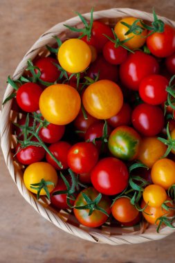 Kırmızı ve sarı vişneli domates kasesi. Sebze toplayın. Masada domates var. Sağlıklı vitamin yiyeceği. Kırsal mutfak.