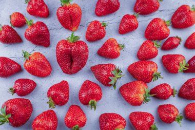 Çilek arkaplanı. Kırmızı çilekler. Yaz hasadı. Çilek desenli üst görünüm.