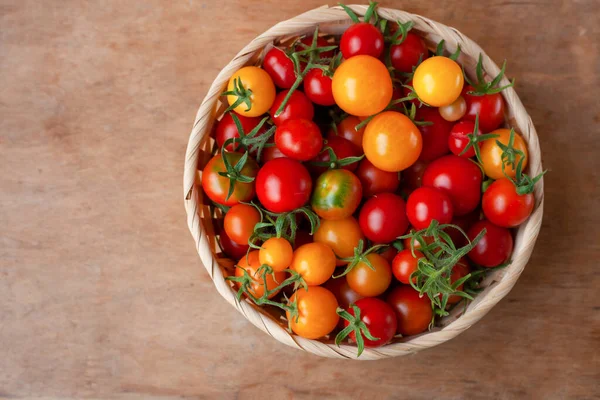 Wielokolorowe Pomidory Koszyku Widok Góry Wzór Żółtych Czerwonych Pomarańczowych Pomidorów — Zdjęcie stockowe