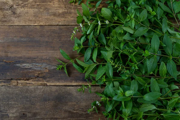 Zecca Fresca Uno Sfondo Legno Con Posto Testo Foglie Steli — Foto Stock