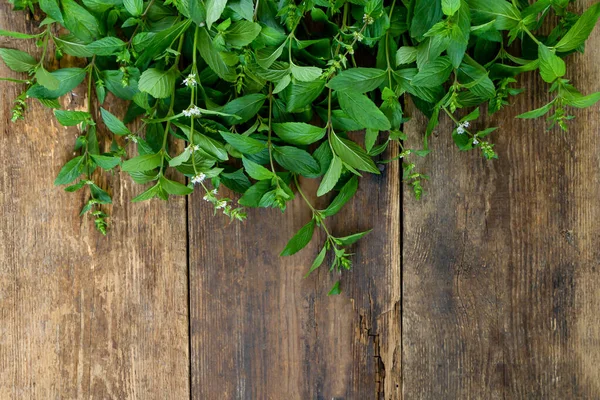 Fresh Mint Wooden Background Place Text Leaves Stems Flowers Fragrant — Stock Photo, Image