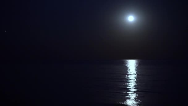 Moonlit path on the night sea. Summer coast. Beautiful landscape. Full moon. Moonlit path on the sea. Night sky on the ocean beach — Stock Video