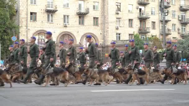 Ucrânia Kiev Agosto 2021 Exército Ucraniano Destacamento Socorristas Resgatadores Sistema — Vídeo de Stock